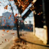 جمعية نفس NFS_Page_03_Image_0001